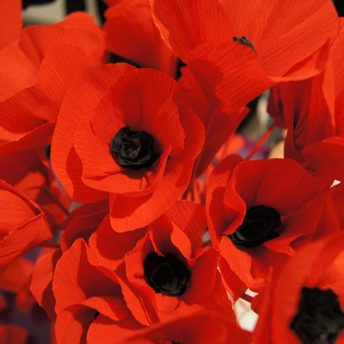 Coquelicot en papier - Création et réalisation d'une nouvelle animation de points de vente pour KENZO mai 2014 - aurelie de dion - DA & graphistes