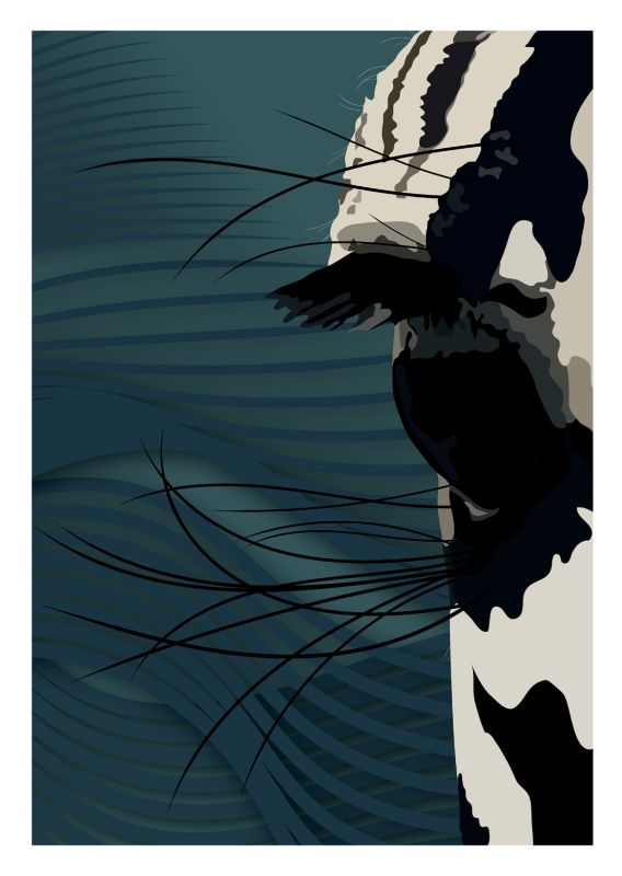 Illustration digitale - nathalie fabre - DA & graphistes